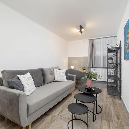 Classic & Elegant Moniuszki In By Renters *