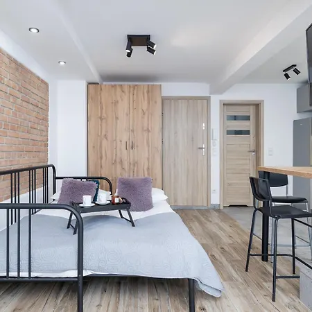 Διαμέρισμα Classic & Elegant Moniuszki In By Renters Krasków